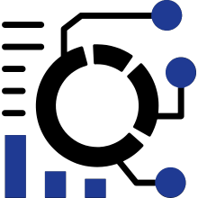 Data Insights & Visualization
